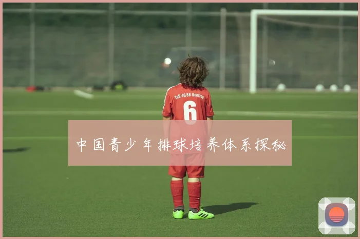 中国青少年排球培养体系探秘