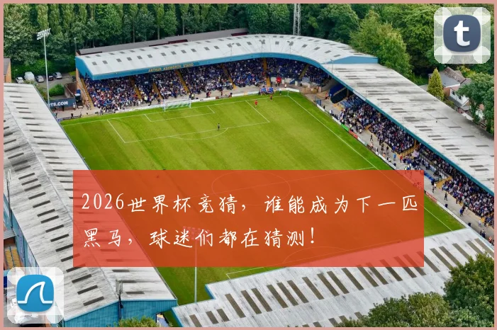 2026世界杯竞猜,谁能成为下一匹黑马,球迷们都在猜测!