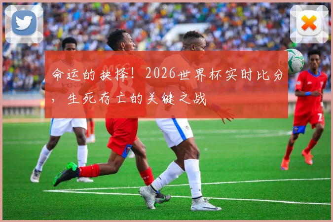命运的抉择!2026世界杯实时比分,生死存亡的关键之战