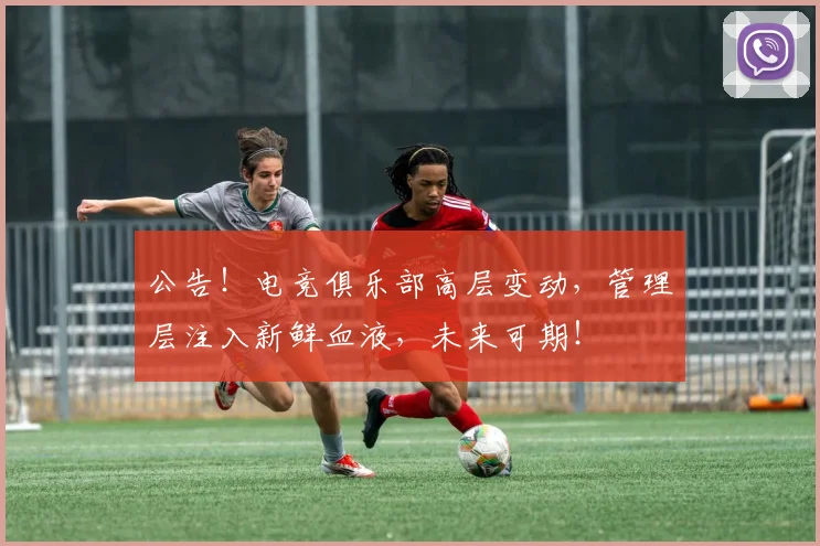 公告!电竞俱乐部高层变动,管理层注入新鲜血液,未来可期!