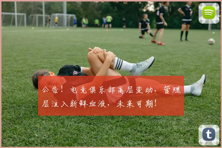 公告!电竞俱乐部高层变动,管理层注入新鲜血液,未来可期!