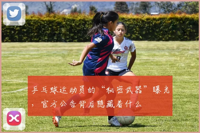 乒乓球运动员的“秘密武器”曝光,官方公告背后隐藏着什么